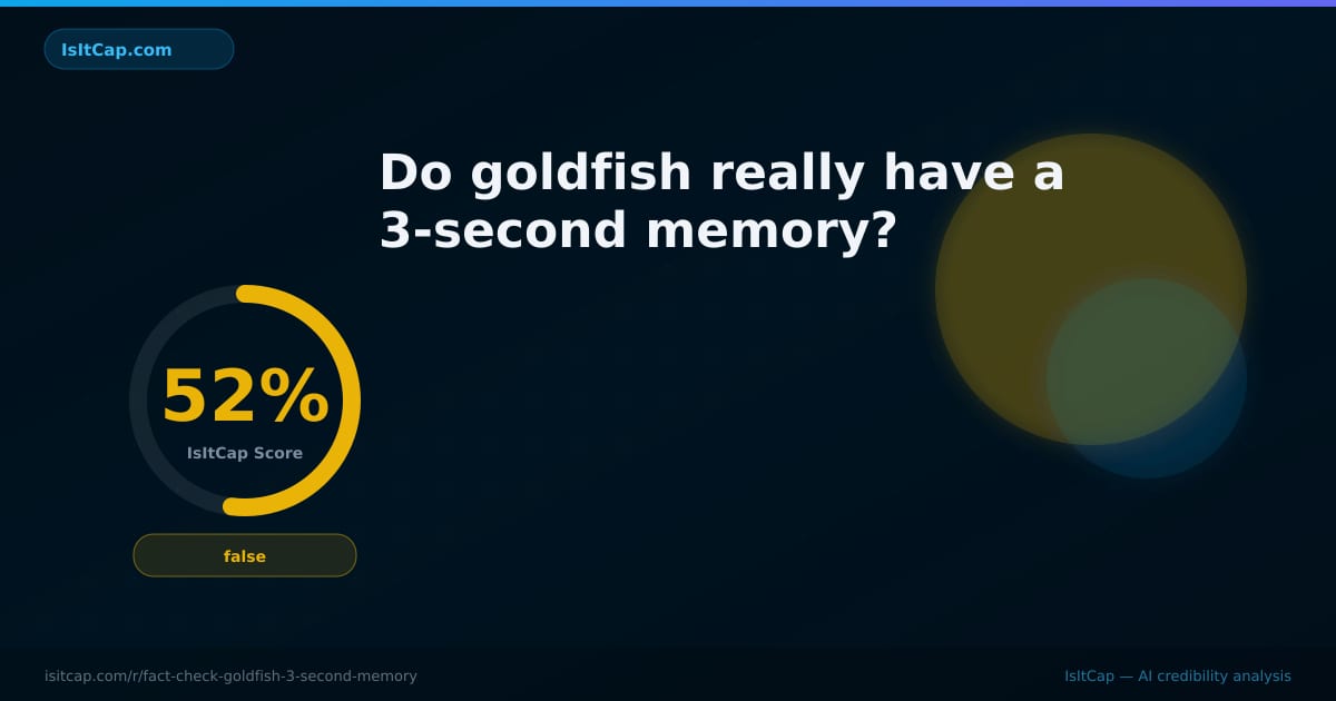 Short Memory Fish Fact check: Do goldfish really have a 3-second memory? | IsItCap